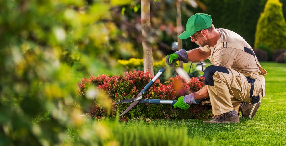 man doing yard work